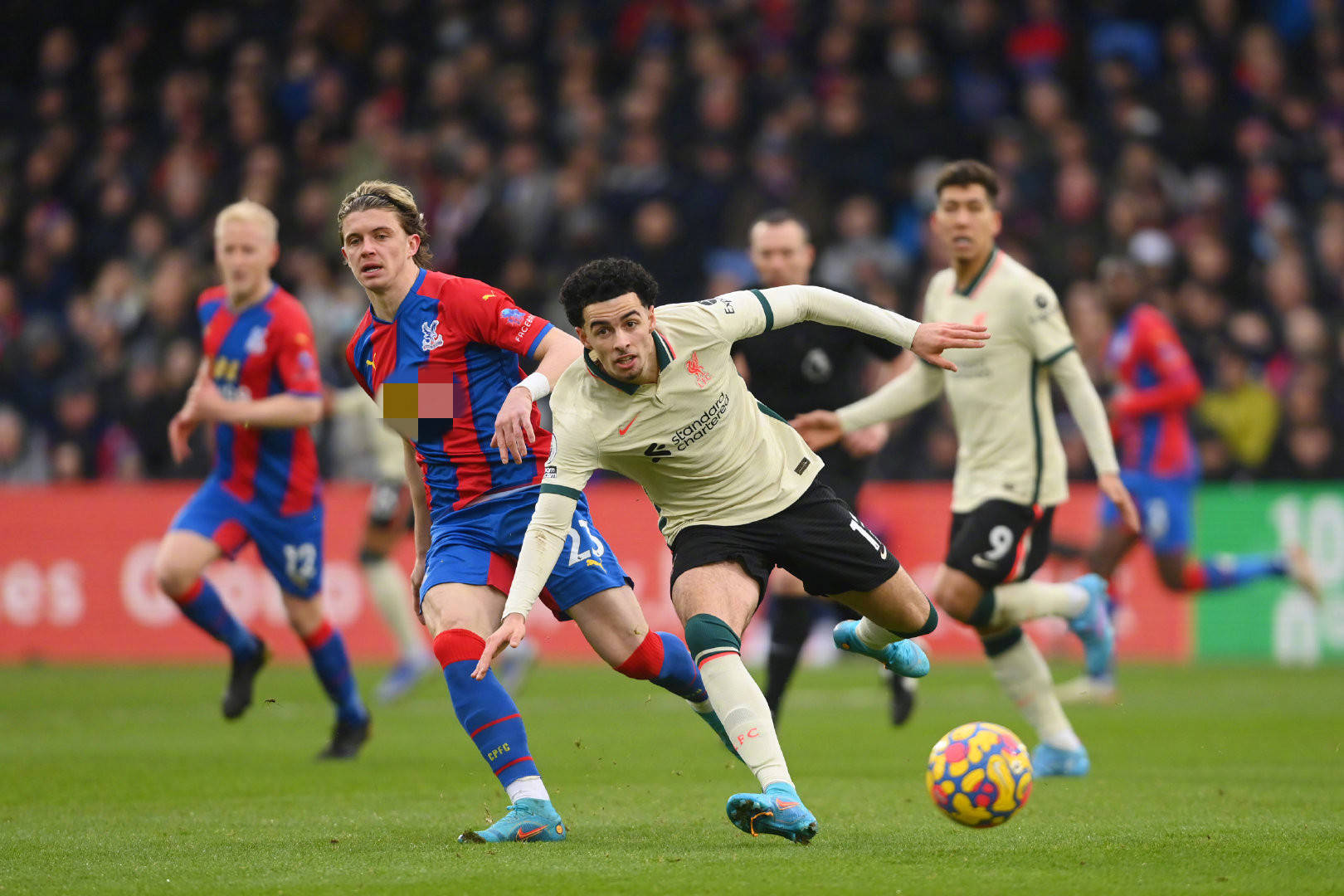 特别是在人 特别是在人